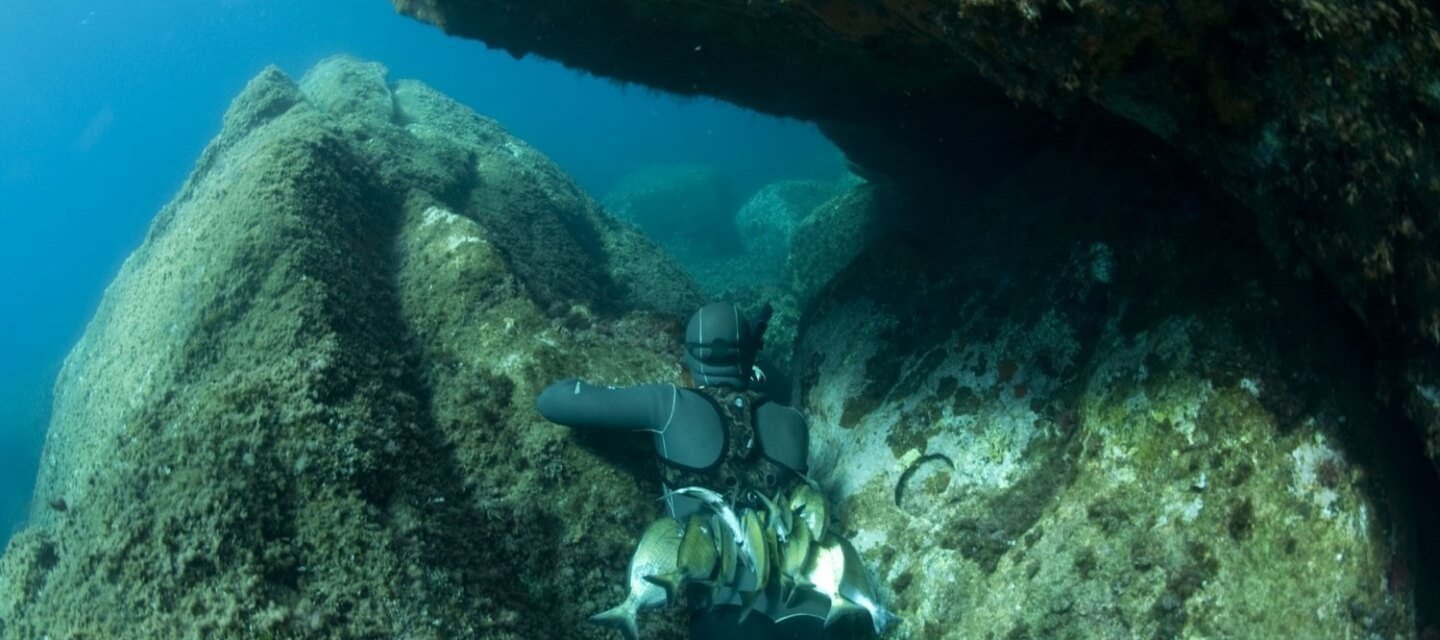 🏖️ 포르티치올로 탑(토레 델 포르티치올로)